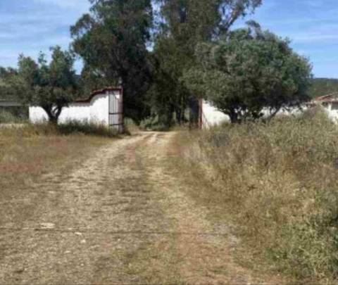 Herdade do Telheiro, Odemira, Beja
