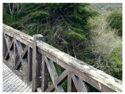 Moradia T6, Casal da Carregueira, Sintra