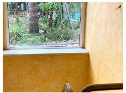 Moradia T6, Casal da Carregueira, Sintra