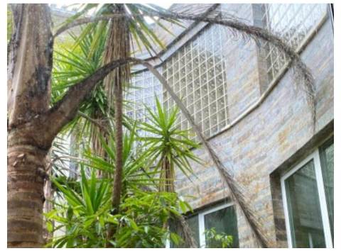 Moradia T6, Casal da Carregueira, Sintra