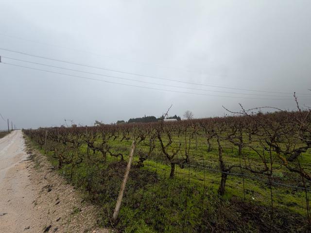 Terreno, Lau, Palmela