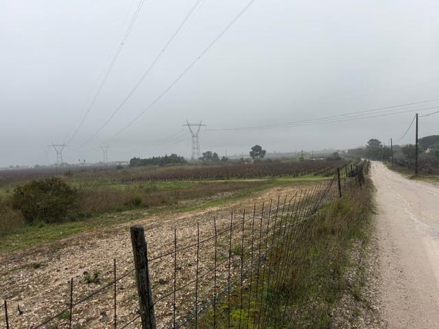 Terreno, Lau, Palmela