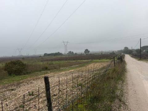 Terreno, Lau, Palmela