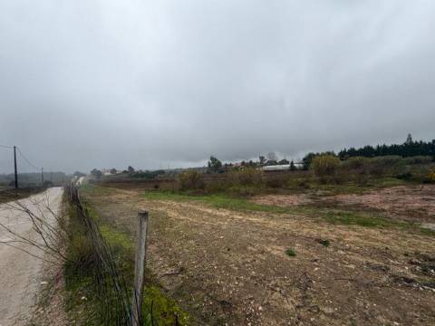 Terreno, Lau, Palmela