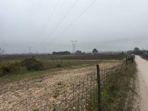 Terreno, Lau, Palmela