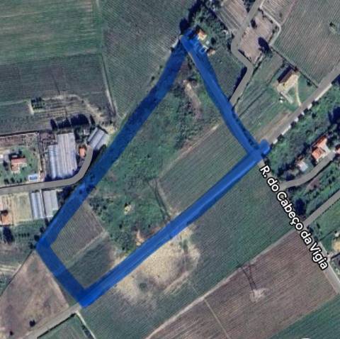 Terreno, Lau, Palmela