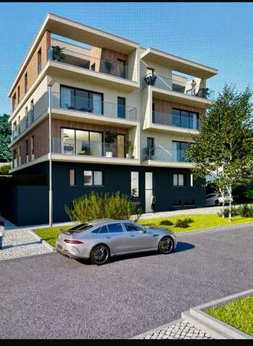 Lote, quinta da Amizade, Setubal