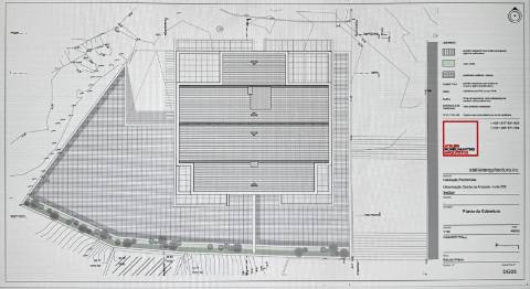 Lote, quinta da Amizade, Setubal