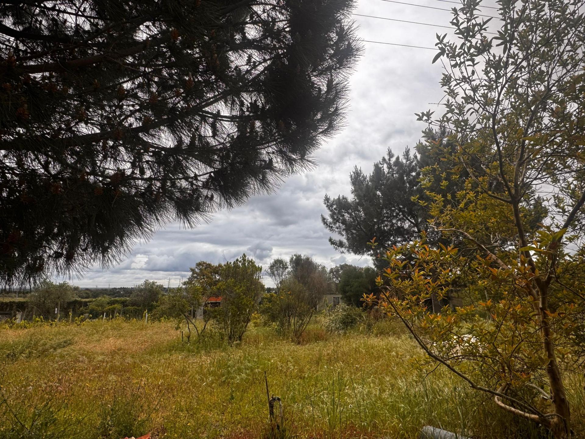 Quintinha, vale de Mulatas , Setubal