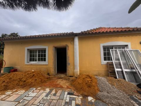 Quintinha, vale de Mulatas , Setubal