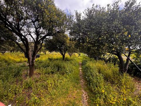 Quintinha, Pontes, Setubal