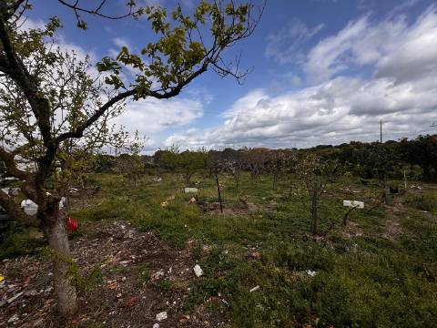 Quintinha, Pontes, Setubal