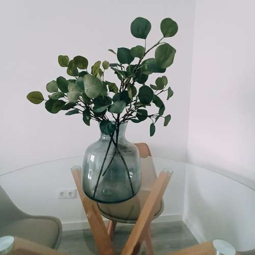 Apartamento T1+1 C/ Logradouro Benfica Lisboa