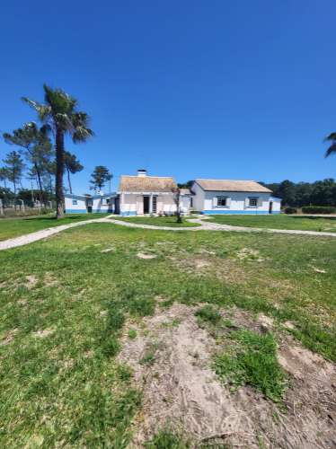 Quinta V4 Azeitão 2.95Ha