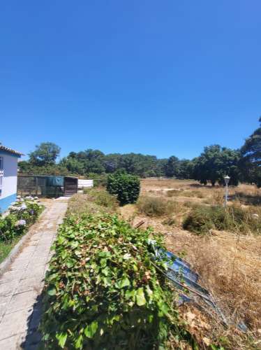 Quinta V4 Azeitão 2.95Ha