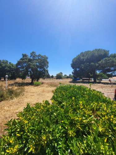 Quinta V4 Azeitão 2.95Ha