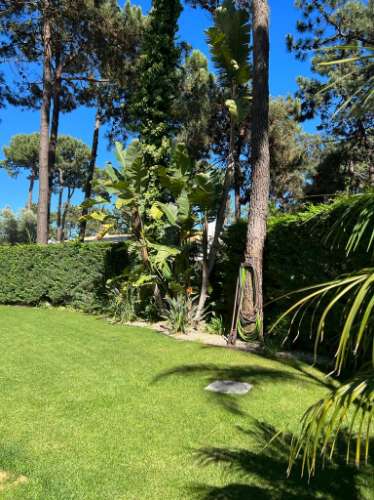 Fantástica moradia T4+1 na Herdade da Aroeira