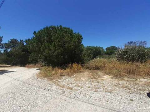 Terreno na Quinta da Oliva