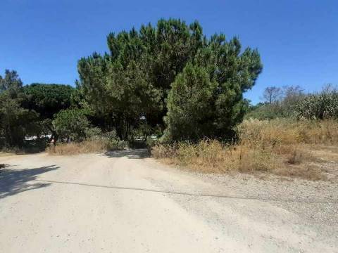 Terreno na Quinta da Oliva