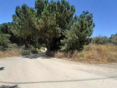 Terreno na Quinta da Oliva