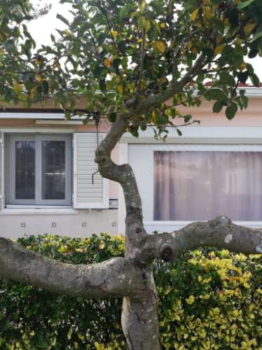 Moradia isolada V5 Verdizela +Anexo T1