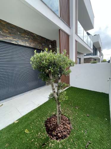 Moradia T3+1 nova Fernão Ferro