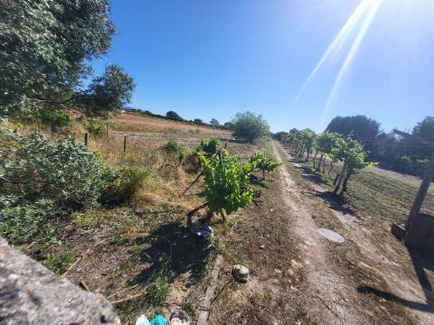 Quinta rústica em Cabanas (Azeitão)