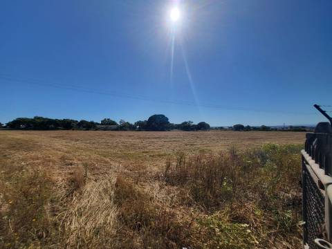 Quinta rústica em Cabanas (Azeitão)