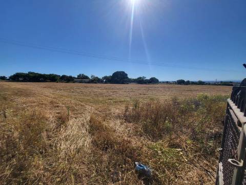 Quinta rústica em Cabanas (Azeitão)