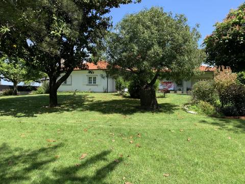 Oasis de Conforto e Sofisticação: Moradia T4 Irresistível em Oliveirinha, Aveiro!