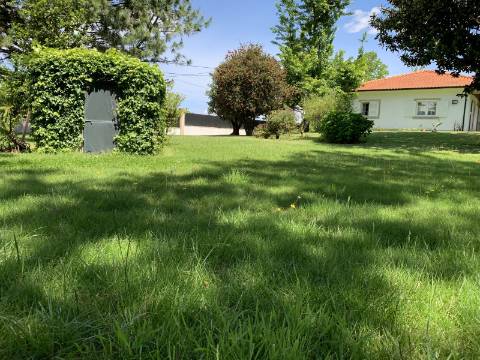 Oasis de Conforto e Sofisticação: Moradia T4 Irresistível em Oliveirinha, Aveiro!