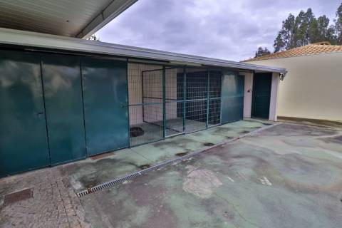 Moradia T4+1 com piscina disponível para Venda em Águeda