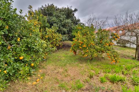 Moradia T4+1 com piscina disponível para Venda em Águeda