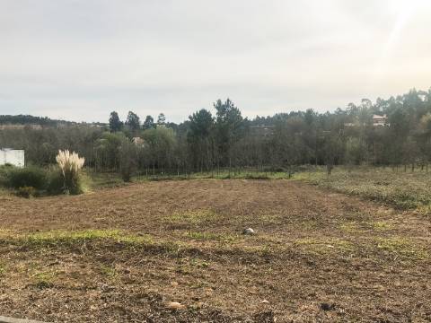 Terreno para Construção de Moradia no Vale das Figueiras