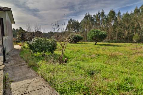 Quinta T5 disponível para venda em Á-dos-Ferreiros