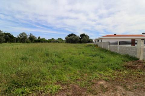 Terreno para Construção de Moradia Isolada em Mourisca do Vouga