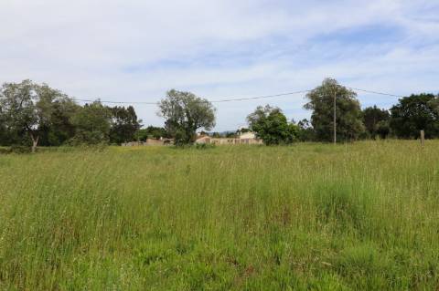 Terreno para Construção de Moradia Isolada em Mourisca do Vouga
