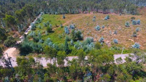 Terreno Urbano disponível para venda