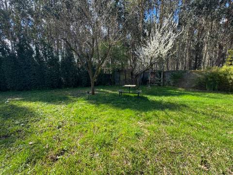 Duas Moradias Independentes em Amplo Terreno de 2171m² Disponíveis para Venda em Águeda