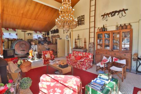 Quinta T4+1 Disponível para venda em Valongo do Vouga