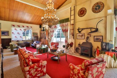 Quinta T4+1 Disponível para venda em Valongo do Vouga