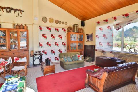 Quinta T4+1 Disponível para venda em Valongo do Vouga