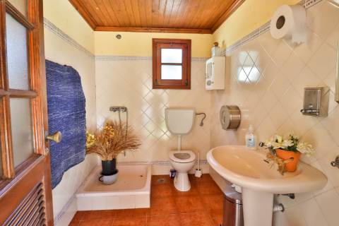 Quinta T4+1 Disponível para venda em Valongo do Vouga