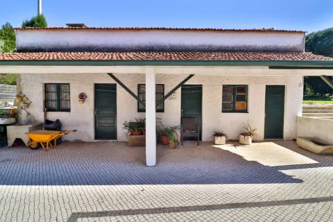 Quinta T4+1 Disponível para venda em Valongo do Vouga