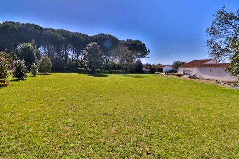 Quinta T4+1 Disponível para venda em Valongo do Vouga