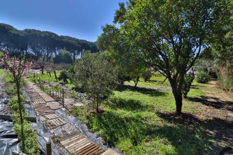 Quinta T4+1 Disponível para venda em Valongo do Vouga