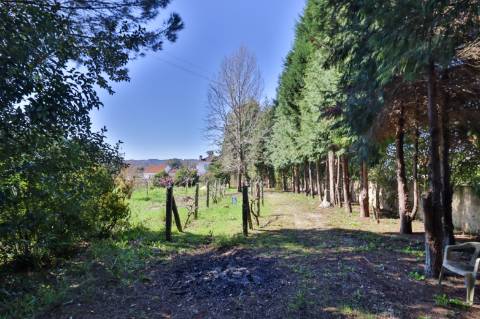 Quinta T4+1 Disponível para venda em Valongo do Vouga