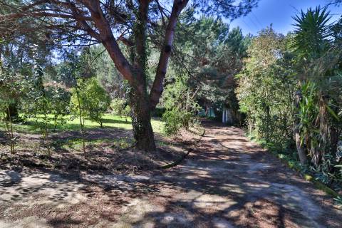 Quinta T4+1 Disponível para venda em Valongo do Vouga