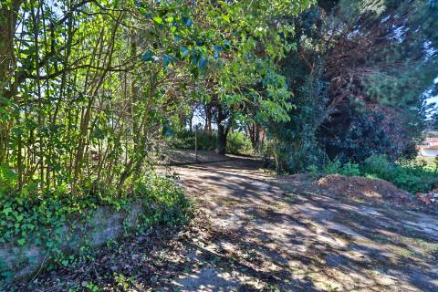 Quinta T4+1 Disponível para venda em Valongo do Vouga