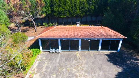 Quinta T4+1 Disponível para venda em Valongo do Vouga